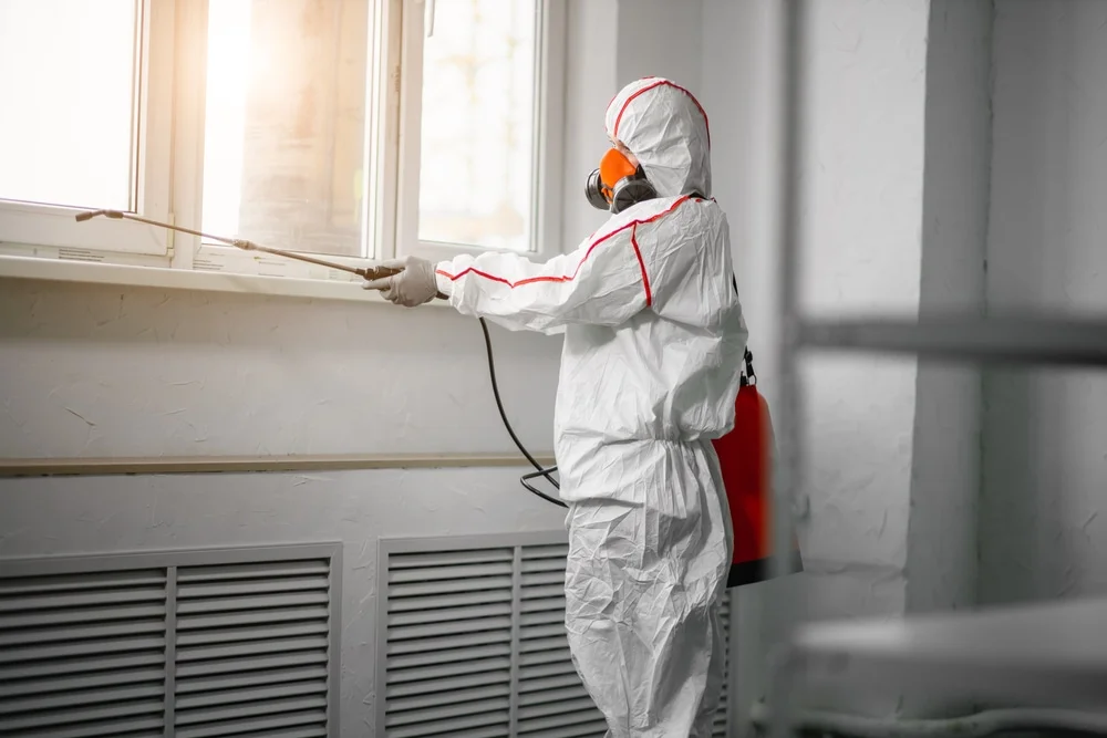 Professional mold remediation services in Sunman, IN